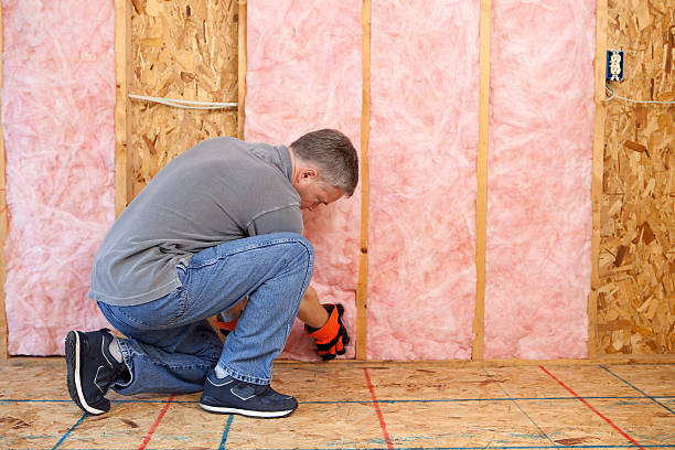 Best Residential Insulation in Burkesville, KY